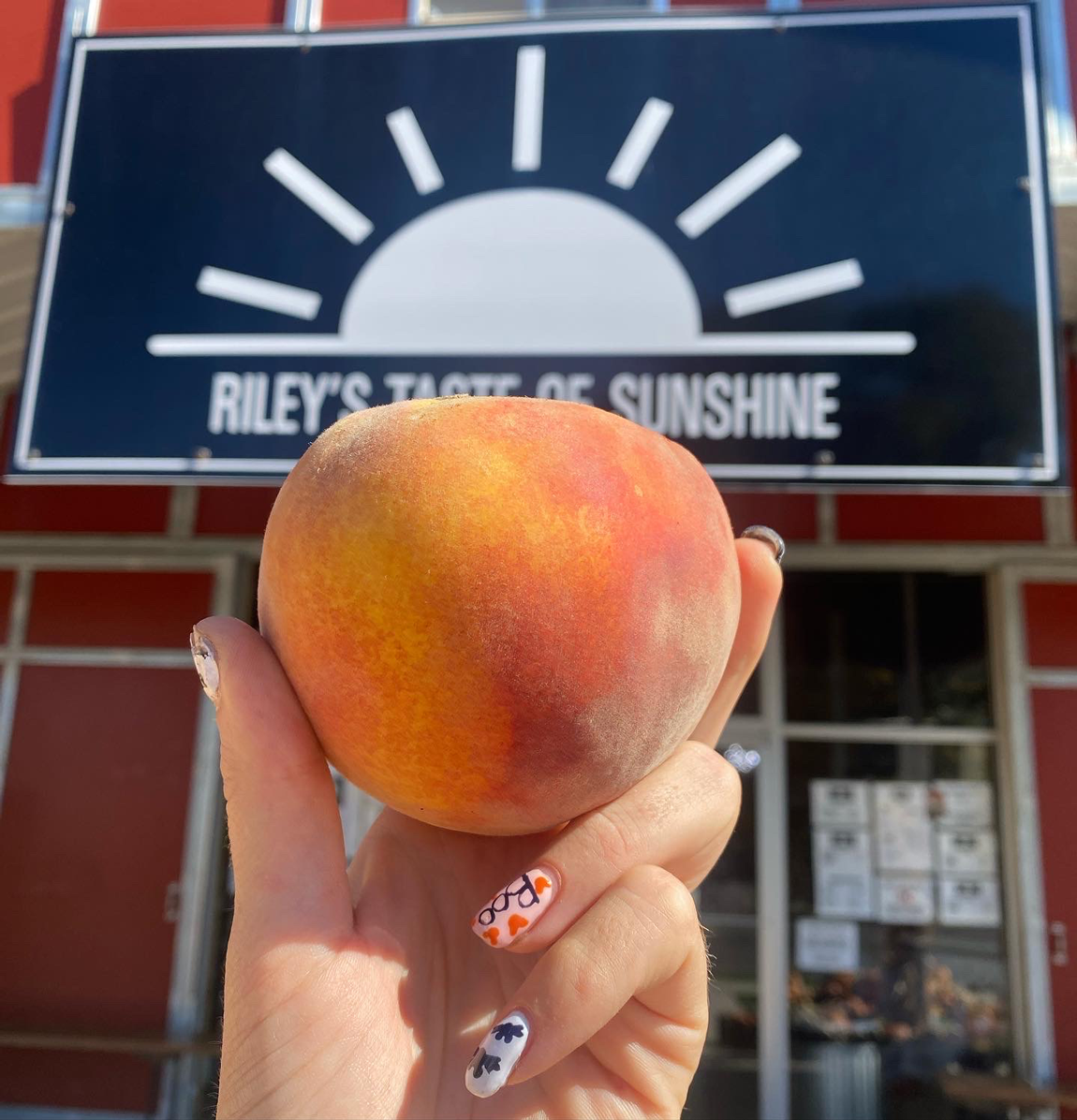 Local & Seasonal
